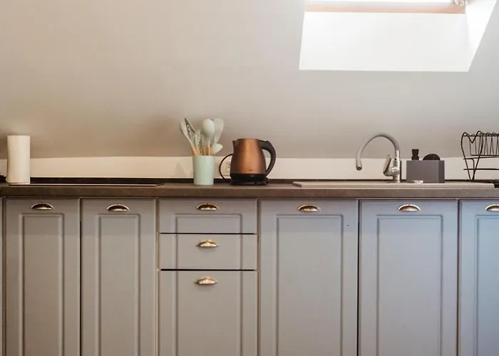 Evu Long Street * Brasov